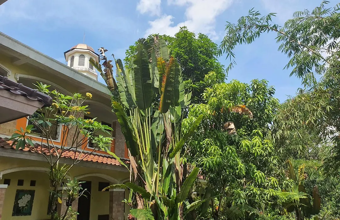 Villa Alicia-1