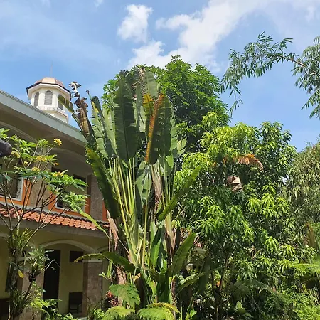 Villa Alicia-3